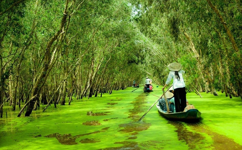 TOP 10 địa điểm du lịch Tiền Giang được người Tiền Giang giới thiệu