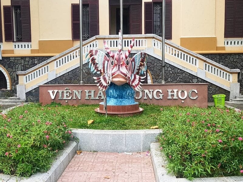 Không gian lưu giữ ký ức biển Việt Nam